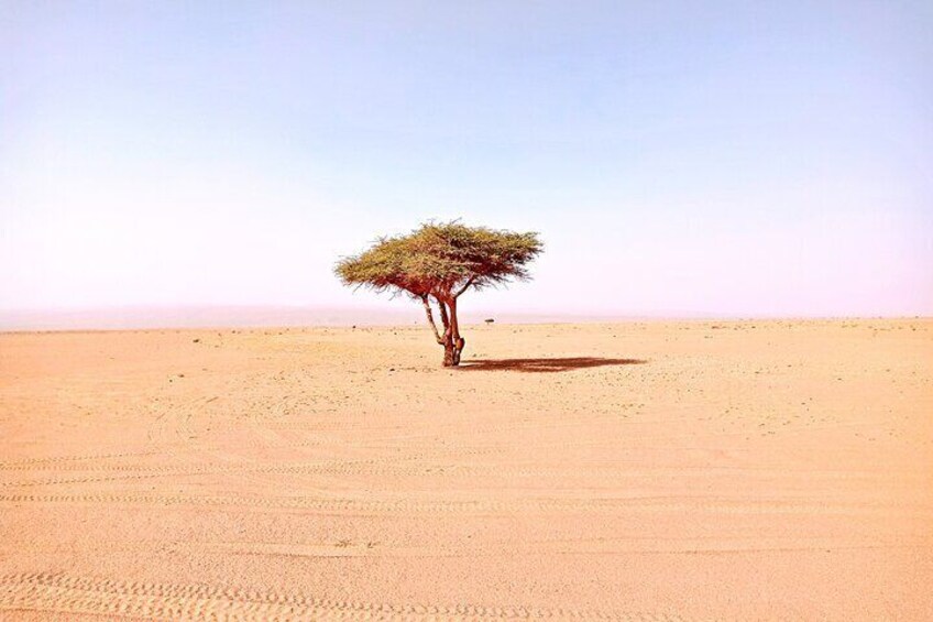 Sahara desert tour of Morocco