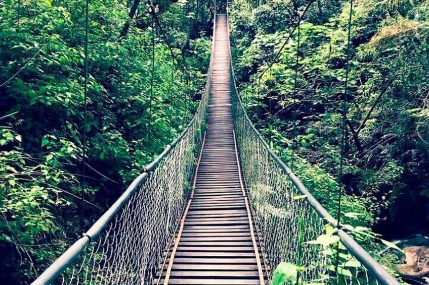 Hanging Bridges.