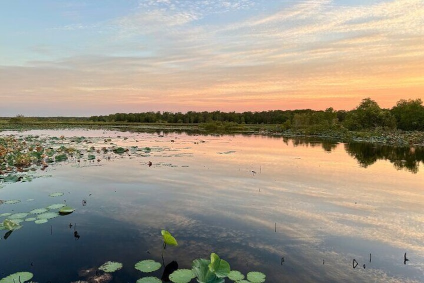 Darwin: Evening tour to Fogg Dam Wetlands and Humpty Doo Hotel