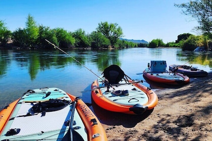 Rent a Paddle Board And Float the Lower Salt River