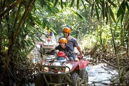 Private Ubud quad bike Ride with a Blue Lagoon Snorkelling Tour in Bali