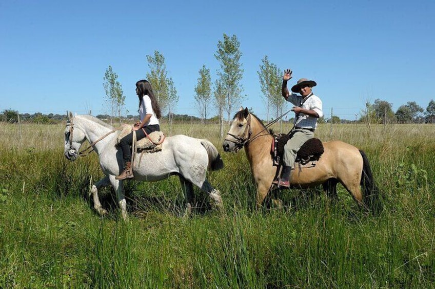 Horse riding in the pampas