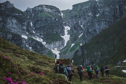 Private Hiking to Bucegi Natural Park from Brasov