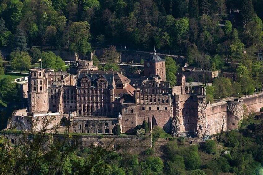 Heidelberg Castle and City Private Day Tour from Frankfurt