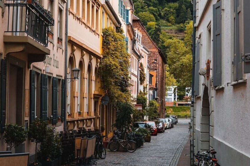 Heidelberg Castle and City Private Day Tour