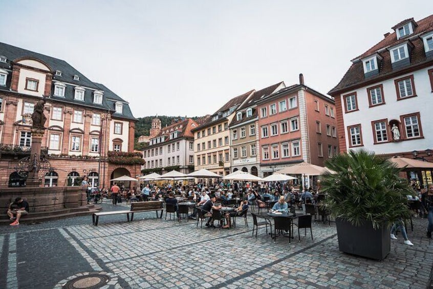 Heidelberg Castle and City Private Day Tour