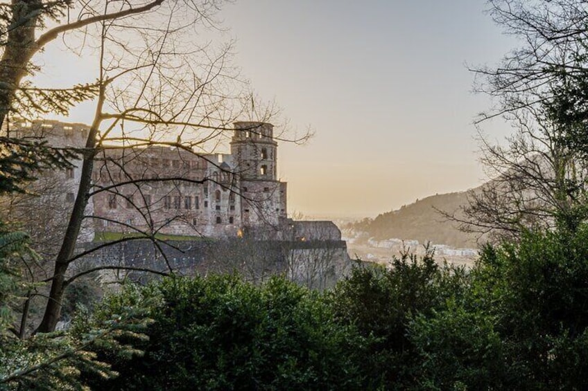 Heidelberg Castle and City Private Day Tour