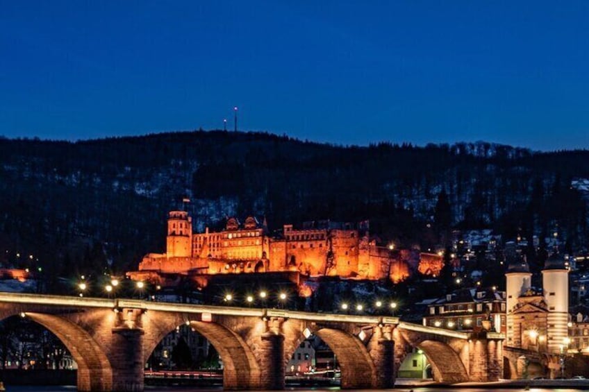 Heidelberg Castle and City Private Day Tour
