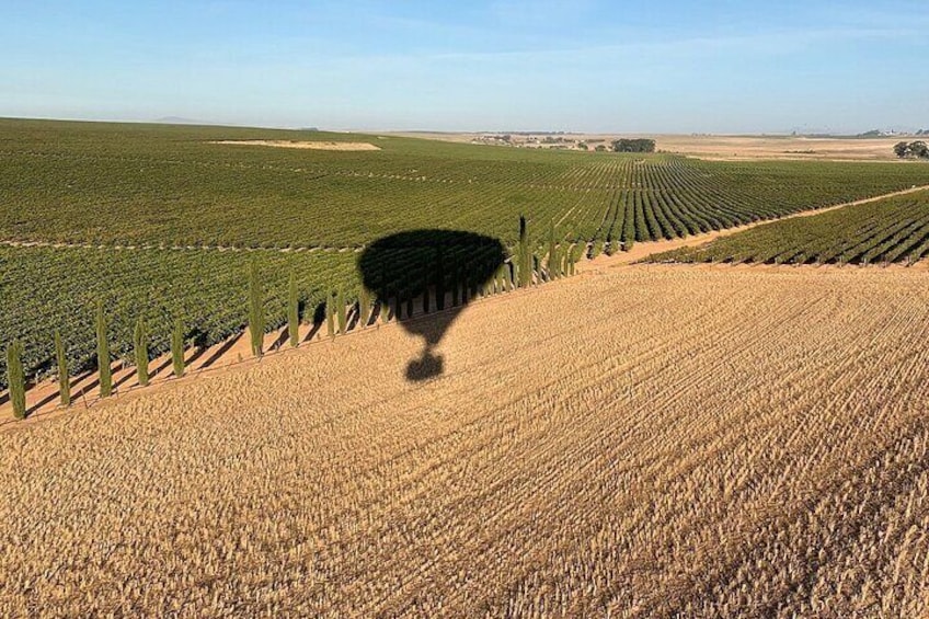  Private Hot Air Balloon Tour in Stellenbosch