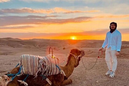 Agafay Desert Dinner Show with Sunset Camel Ride