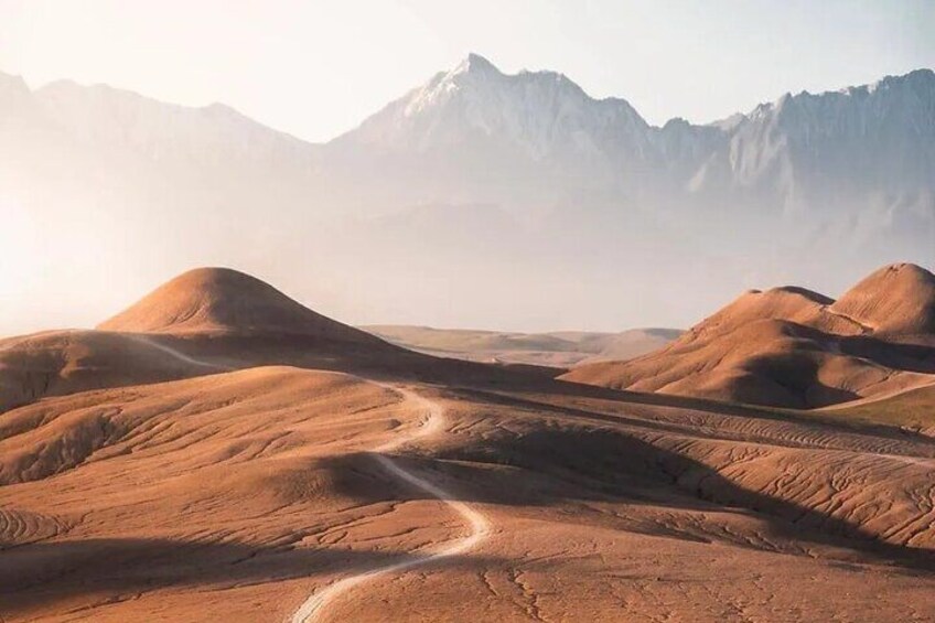 Agafay Desert Camel Ride at Sunset and Dinner