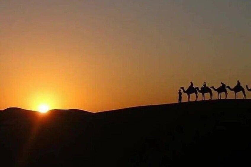 Agafay Desert Camel Ride at Sunset and Dinner