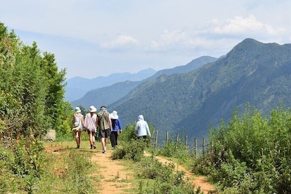 Muong Hoa Valley View & Village Trek in Sapa 1 Day