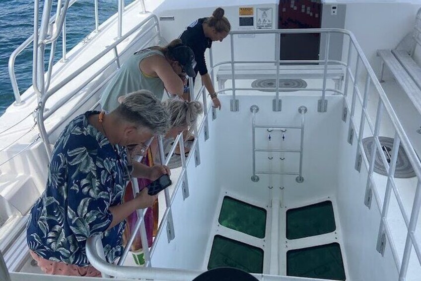 Day Tour Glass Bottom Boat In Islamorada