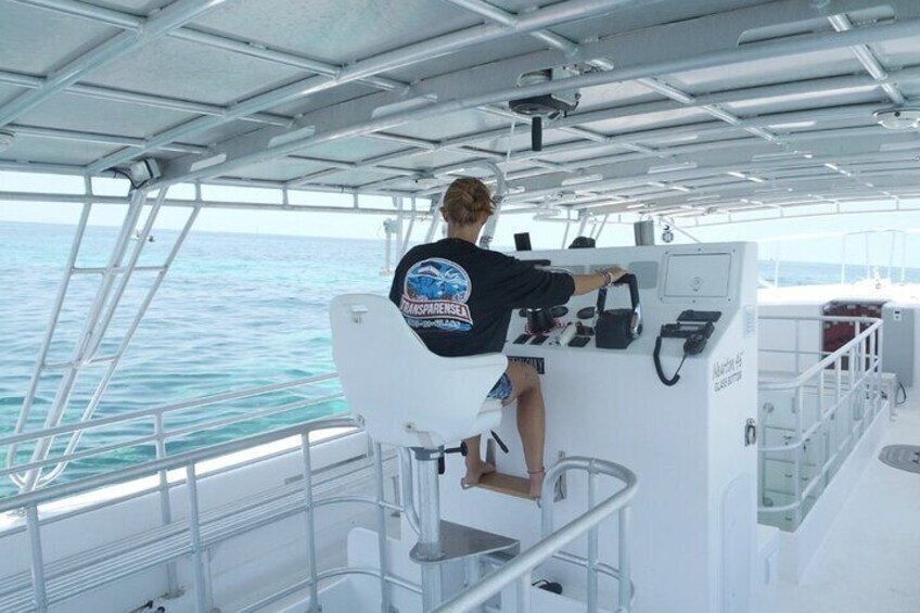 Day Tour Glass Bottom Boat In Islamorada