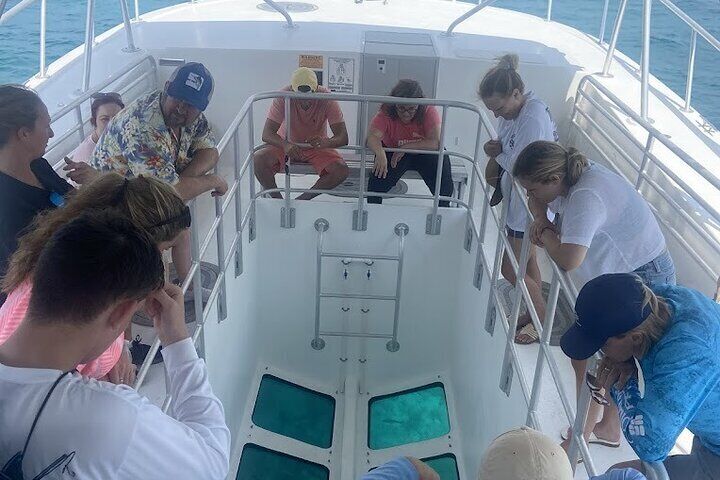 Day Tour Glass Bottom Boat In Islamorada