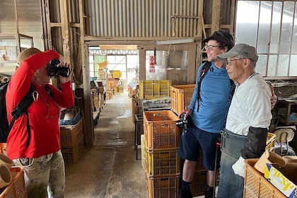 Become a local! A Walking Tour of Beppu’s Arts, Crafts & Onsen