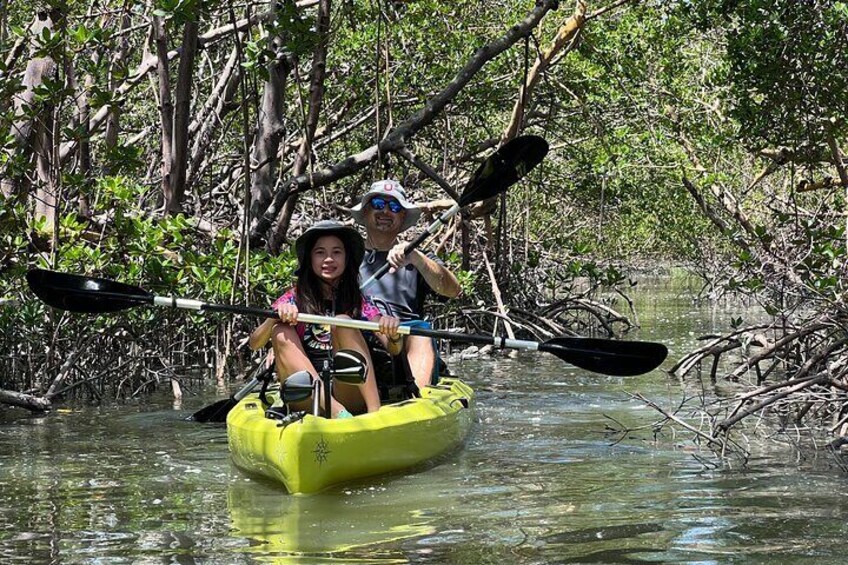 Investigate Mangrove Tunnels Before Seeking the Sunset