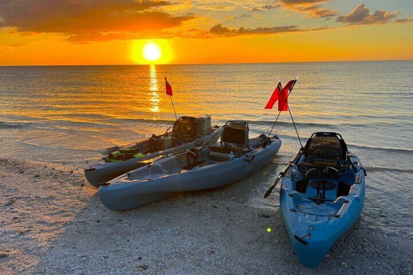 Naples Guided Sunset Kayak Tour Activity