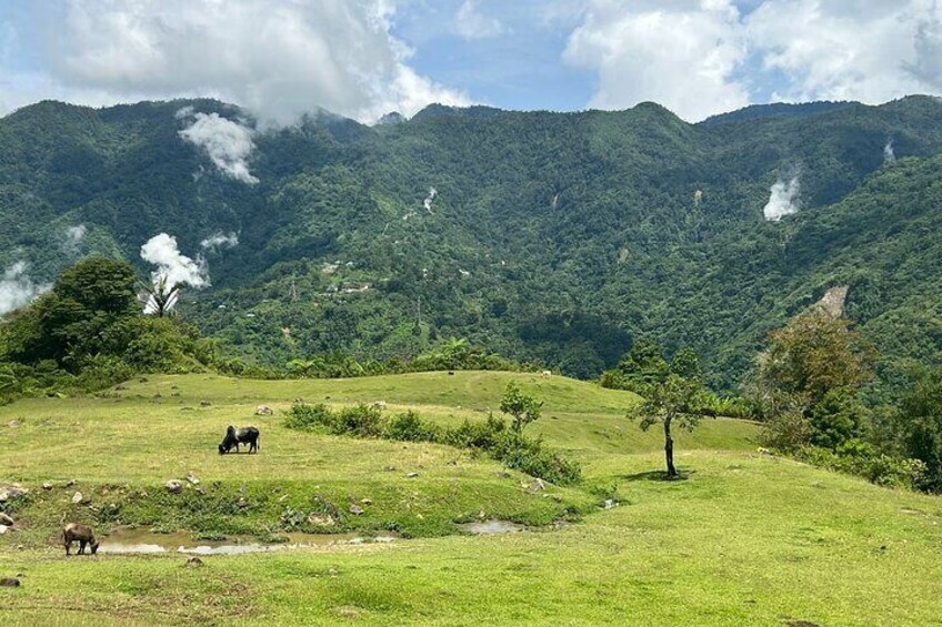 High above sea-level, the cool mountain breezes of Valencia are a rare treat in the tropical Philippines.