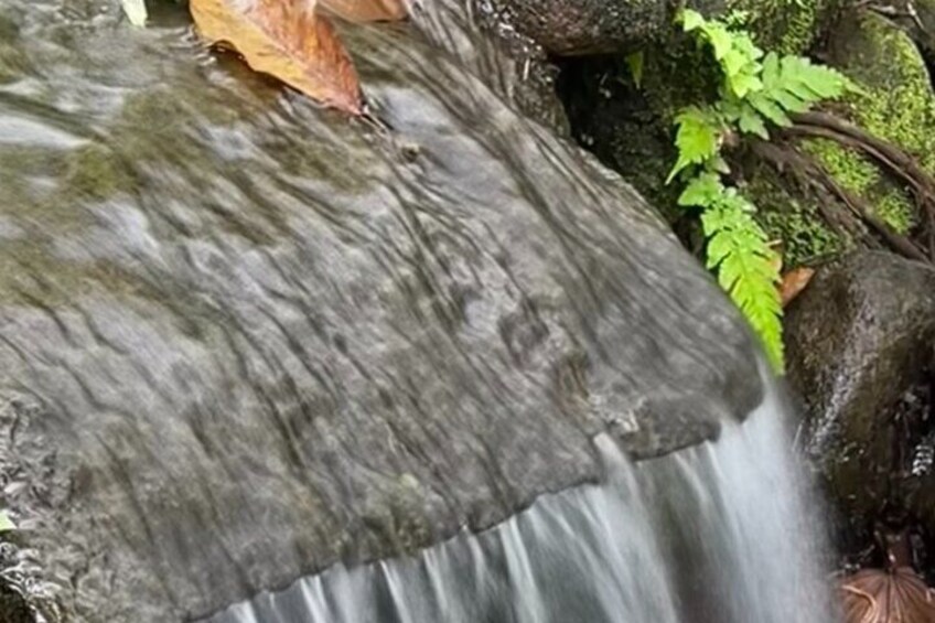 A small waterfall just strong enough for a relaxing back massage when sitting beneath it.