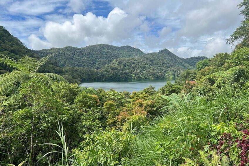 The hidden majesty of the Twin Lakes, nestled high in the mountains inside the quiet Balinsasayao Twin Lakes Natural Park, protected home to several endangered species of birds and mammals.