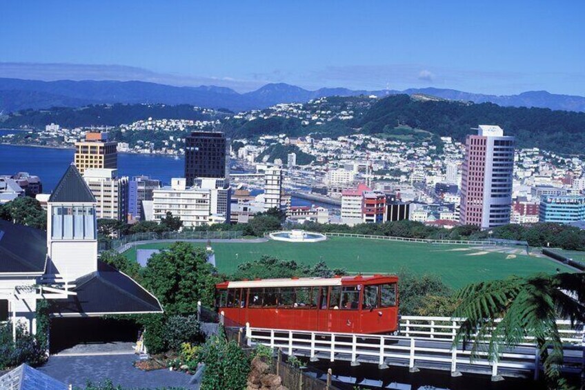 Private custom tour with a local guide Wellington