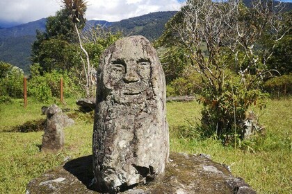 Private Tour to La Gaitana Archaeological Park in Quinchana