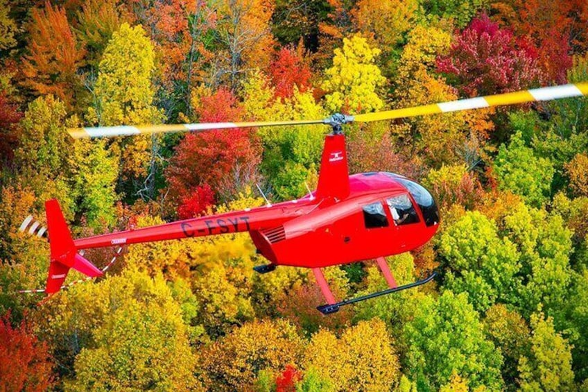 Discover the Monteregie Landscape Helicopter Tour