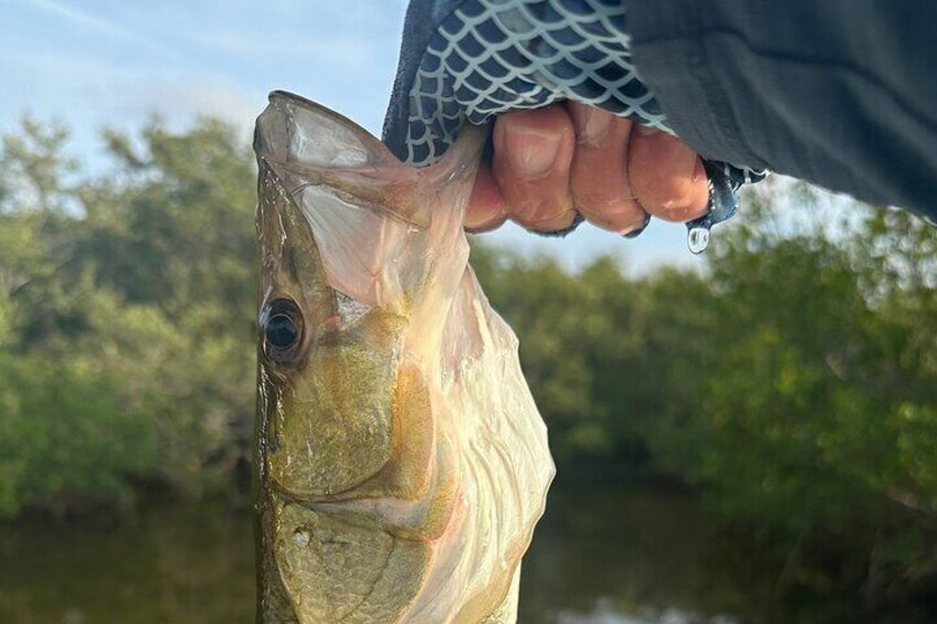 Fishing Adventure in Clearwater 