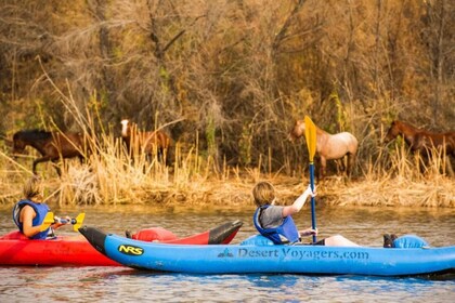 Phoenix ja Scottsdale: Salt Riverin alajuoksun melontaretki