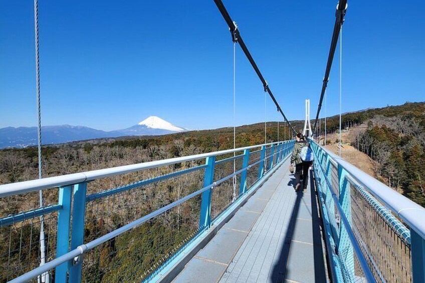 1 Day private tour of Hakone with English driver