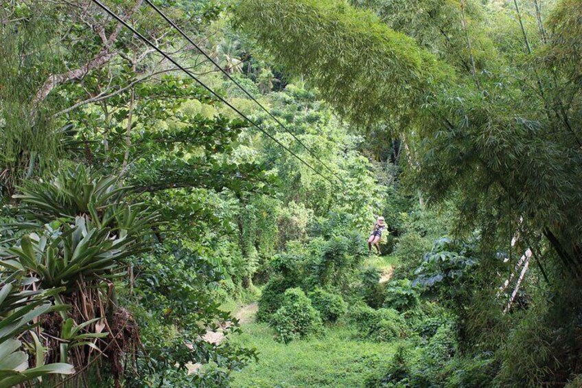White River Valley Zipline