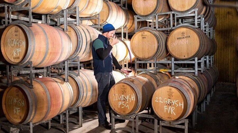 1 Hour Wine tasting at Ross Hill Wines in Orange NSW