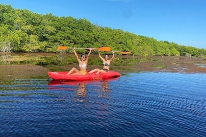 Full Day Guided Mangrove Bote Ride & Sisal Beach Time