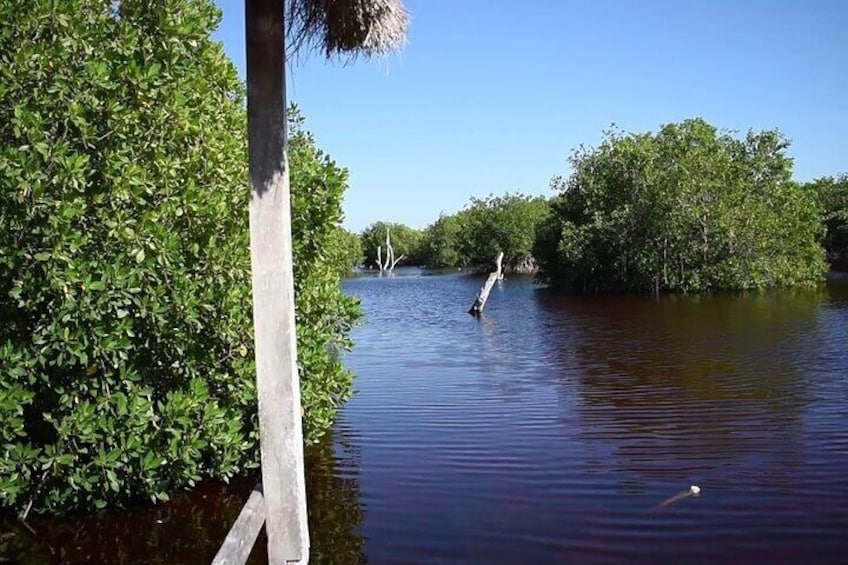 Full Day Guided Mangrove Bote Ride And Merida Beach Tour