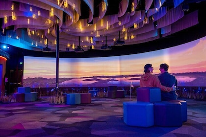 Immersive Art & Technology Museum in St. Pete