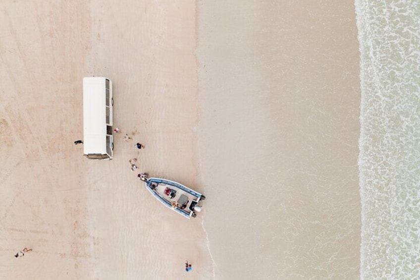 Birdseye View of Bus