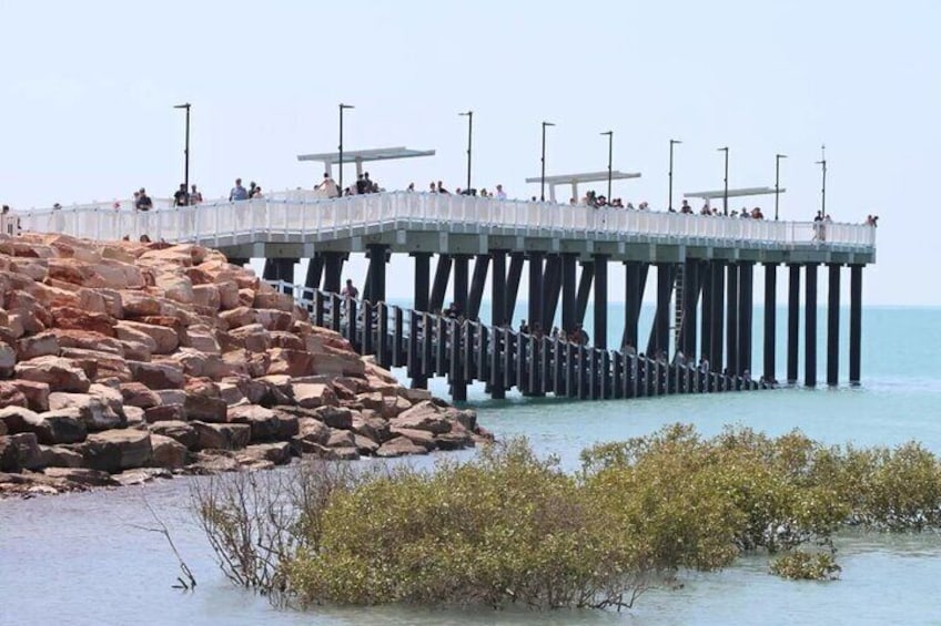 AOC's Broome Town Tour - Where we'll bring the ocean to you! Plus lots more...
