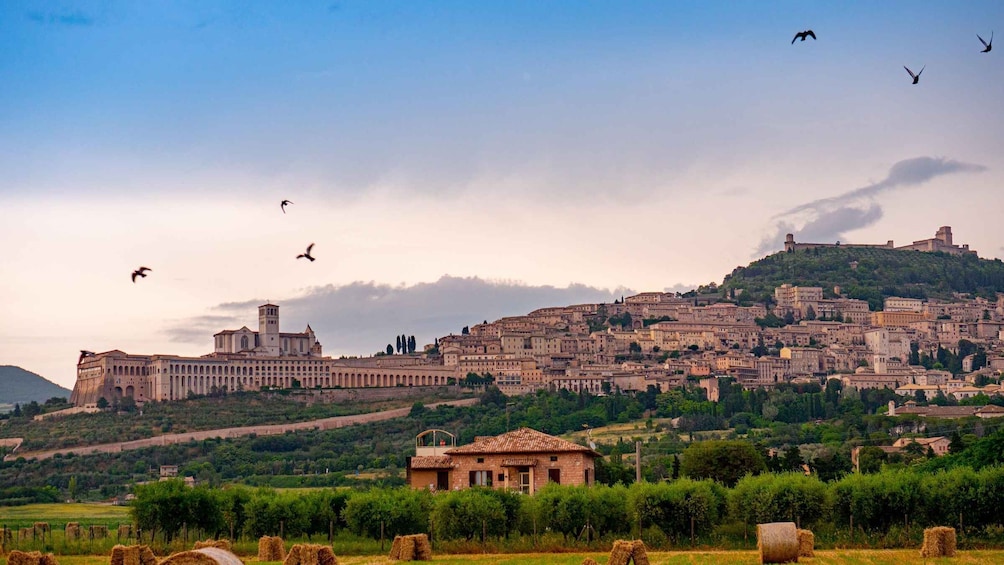 Picture 13 for Activity Assisi: 2-Hour Walking Tour