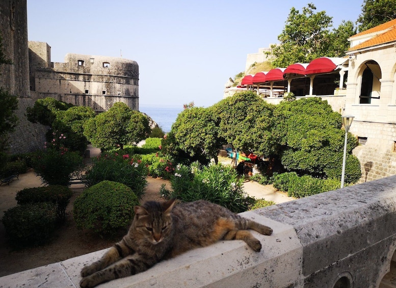 Picture 2 for Activity Dubrovnik Old City Private Tour