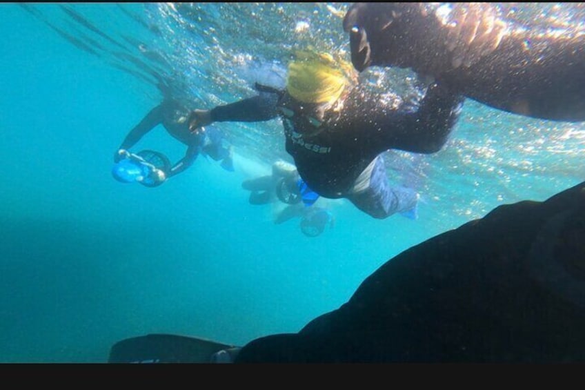 Non Swimmers Discovery Tour ocean