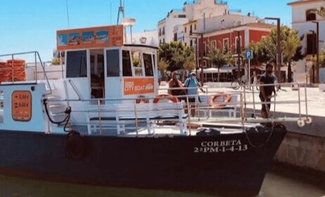 Ibiza: Boat transfer to Playa d'en Bossa and Figueretes