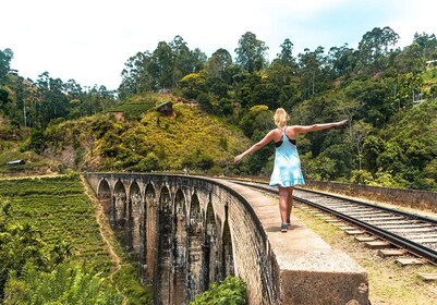 Recorrido de 7 días por la Naturaleza y la Vida Salvaje "Off The Beaten