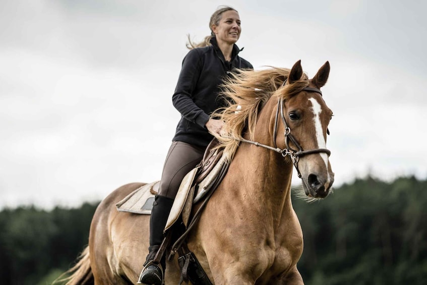 Picture 1 for Activity Agadir or Taghazout: Beach and Ranch Horse Riding Tour