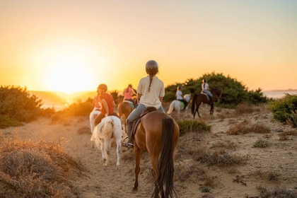 Agadir atau Taghazout: Tur Menunggang Kuda di Pantai dan Peternakan