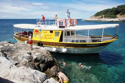 Rovinj Islands bådtur med svømning