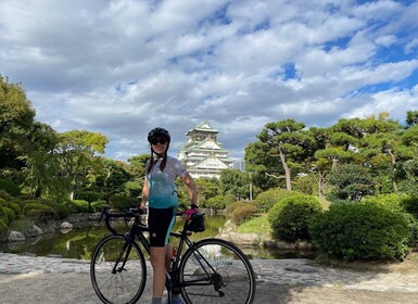 Hafen von Osaka und geführte Sightseeing-Fahrt