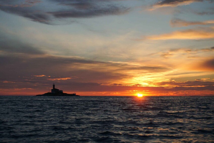 Picture 4 for Activity Rovinj: Sunset Boat Trip with Dolphin Watching