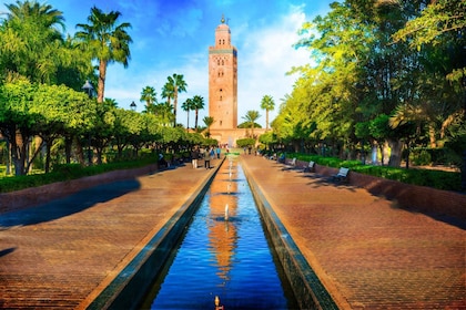 Dagtocht van Agadir naar Marrakech met geweldige reisleiding